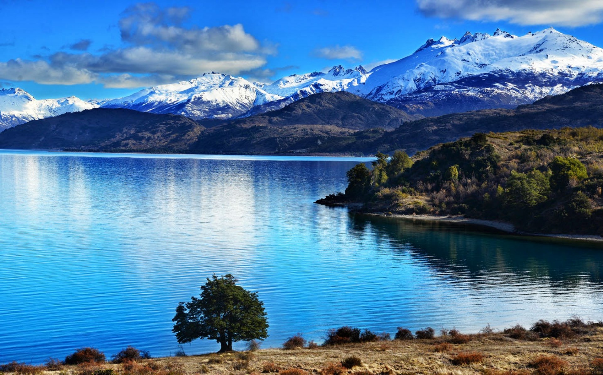 Origo Lab abre convocatoria en la Región de Aysén para proyectos que fomenten la sustentabilidad y turismo local